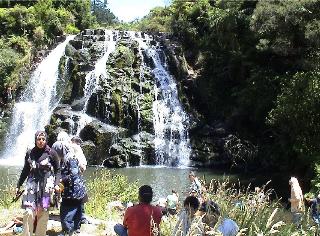 9 - Wasserfall bei Karangahake